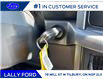 2025 Ford F-150 XLT (Stk: LFFF00275) in Tilbury - Image 12 of 15