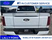 2025 Ford F-150 Lariat (Stk: LFFF00211) in Tilbury - Image 4 of 15