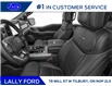 2025 Ford F-150 Platinum (Stk: LFFF00834) in Tilbury - Image 6 of 12