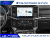 2025 Ford F-150 Platinum (Stk: LFFF00834) in Tilbury - Image 7 of 12