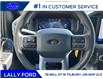 2025 Ford F-150 XLT (Stk: LFFF00786) in Tilbury - Image 14 of 15