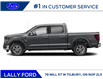2025 Ford F-150 XLT (Stk: LFFF00339) in Tilbury - Image 2 of 12