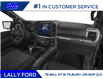 2025 Ford F-150 Lariat (Stk: LFFF00672) in Tilbury - Image 11 of 12