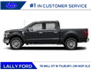 2025 Ford F-150 Lariat (Stk: LFFF00719) in Tilbury - Image 2 of 12