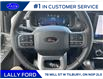 2025 Ford F-150 Lariat (Stk: LFFF00263) in Tilbury - Image 11 of 15