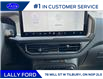 2025 Ford Bronco Sport Big Bend (Stk: LFBS00484) in Tilbury - Image 13 of 15