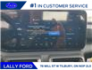 2025 Ford Mustang EcoBoost Premium (Stk: LFMU00940) in Tilbury - Image 10 of 12