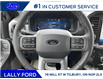 2025 Ford F-150 Lariat (Stk: LFFF00542) in Tilbury - Image 11 of 15