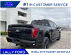 2025 Ford F-150 Lariat (Stk: LFFF00534) in Tilbury - Image 3 of 15