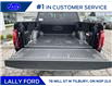 2025 Ford F-150 Lariat (Stk: LFFF00534) in Tilbury - Image 5 of 15