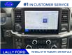 2025 Ford F-150 Lariat (Stk: LFFF00534) in Tilbury - Image 13 of 15