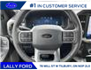 2025 Ford F-150 Lariat (Stk: LFFF00534) in Tilbury - Image 11 of 15
