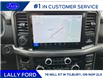 2025 Ford F-150 XLT (Stk: LFFF00598) in Tilbury - Image 13 of 15
