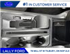 2025 Ford F-150 XLT (Stk: LFFF00469) in Tilbury - Image 14 of 15