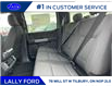 2025 Ford F-150 XLT (Stk: LFFF00469) in Tilbury - Image 15 of 15