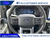 2025 Ford F-150 Lariat (Stk: LFFF00549) in Tilbury - Image 11 of 15