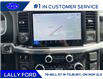 2025 Ford F-150 Lariat (Stk: LFFF00549) in Tilbury - Image 13 of 15
