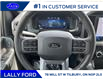 2025 Ford F-150 XLT (Stk: LFFF00460) in Tilbury - Image 11 of 15