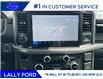 2025 Ford F-150 XLT (Stk: LFFF00543) in Tilbury - Image 13 of 15