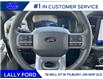 2025 Ford F-150 Lariat (Stk: LFFF00544) in Tilbury - Image 11 of 15