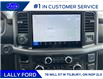 2025 Ford F-150 XLT (Stk: LFFF00599) in Tilbury - Image 12 of 15