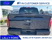 2025 Ford F-150 XLT (Stk: LFFF00568) in Tilbury - Image 4 of 15