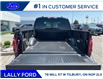 2025 Ford F-150 XLT (Stk: LFFF00568) in Tilbury - Image 5 of 15