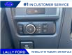 2025 Ford F-150 XLT (Stk: LFFF00568) in Tilbury - Image 9 of 15