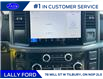2025 Ford F-150 XLT (Stk: LFFF00568) in Tilbury - Image 13 of 15