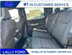 2025 Ford F-150 XLT (Stk: LFFF00568) in Tilbury - Image 15 of 15