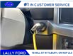 2025 Ford F-150 XLT (Stk: LFFF00568) in Tilbury - Image 12 of 15