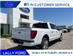 2025 Ford F-150 Platinum (Stk: LFFF00533) in Tilbury - Image 3 of 16