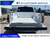 2025 Ford F-150 Platinum (Stk: LFFF00533) in Tilbury - Image 6 of 16