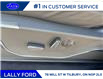 2025 Ford F-150 Platinum (Stk: LFFF00533) in Tilbury - Image 9 of 16