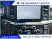 2025 Ford F-150 Platinum (Stk: LFFF00533) in Tilbury - Image 14 of 16