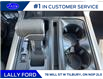 2025 Ford F-150 Platinum (Stk: LFFF00533) in Tilbury - Image 15 of 16