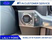 2025 Ford F-150 Platinum (Stk: LFFF00533) in Tilbury - Image 13 of 16