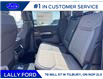 2025 Ford F-150 Platinum (Stk: LFFF00533) in Tilbury - Image 16 of 16