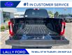 2025 Ford F-350 Platinum (Stk: SPFF00441) in Tilbury - Image 5 of 15