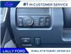 2025 Ford F-350 Platinum (Stk: SPFF00441) in Tilbury - Image 9 of 15
