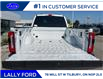 2025 Ford F-350 Platinum (Stk: LFFF00481) in Tilbury - Image 5 of 15