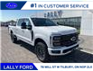 2025 Ford F-250 Platinum (Stk: LFFF00857) in Tilbury - Image 1 of 15