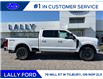 2025 Ford F-250 Platinum (Stk: LFFF00857) in Tilbury - Image 2 of 15