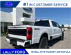 2025 Ford F-250 Platinum (Stk: LFFF00857) in Tilbury - Image 3 of 15