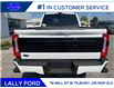 2025 Ford F-250 Platinum (Stk: LFFF00857) in Tilbury - Image 4 of 15
