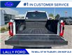 2025 Ford F-250 Platinum (Stk: LFFF00857) in Tilbury - Image 5 of 15