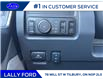 2025 Ford F-250 Platinum (Stk: LFFF00857) in Tilbury - Image 9 of 15