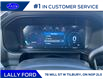 2025 Ford F-250 Platinum (Stk: LFFF00857) in Tilbury - Image 10 of 15