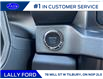 2025 Ford F-250 Platinum (Stk: LFFF00857) in Tilbury - Image 12 of 15