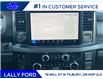 2025 Ford F-250 Platinum (Stk: LFFF00857) in Tilbury - Image 13 of 15